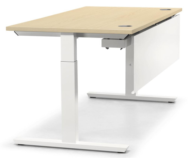 Schreibtisch T-Fuß MULTI M