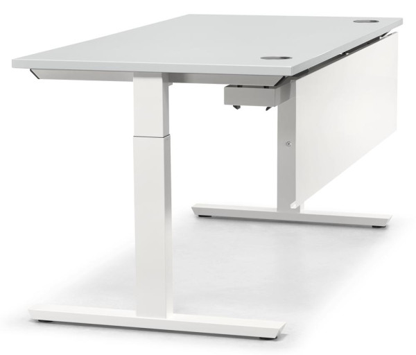 Schreibtisch T-Fuß MULTI M